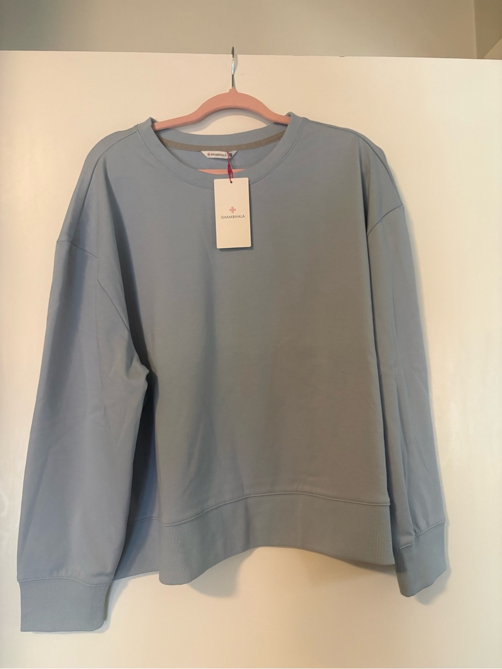 Women's Relaxed Crewneck Sweatshirt in Dusty Blue
